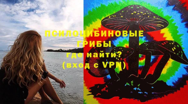 гидропоника Медногорск