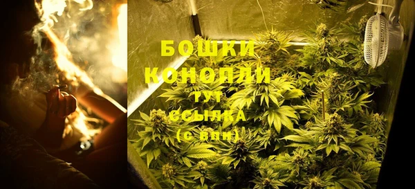 гидропоника Медногорск