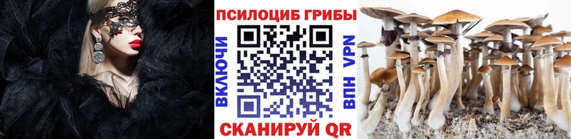 ОМГ ОМГ ТОР  Нижняя Салда  Галлюциногенные грибы Psilocybe 